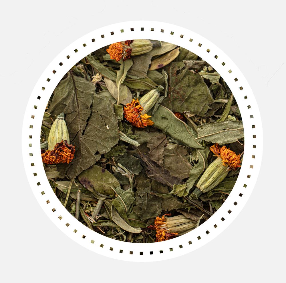 przeciwcukrzycowa_susz2